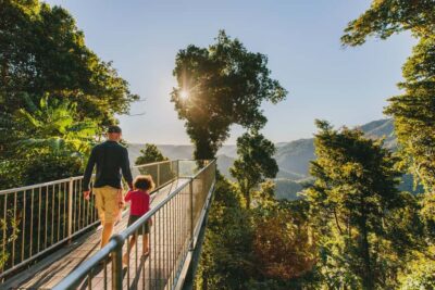 Wooroonooran National Park: Mamu Tropical Skywalk Admission - Start at the entrance: map, info, and a 9-language audio guide