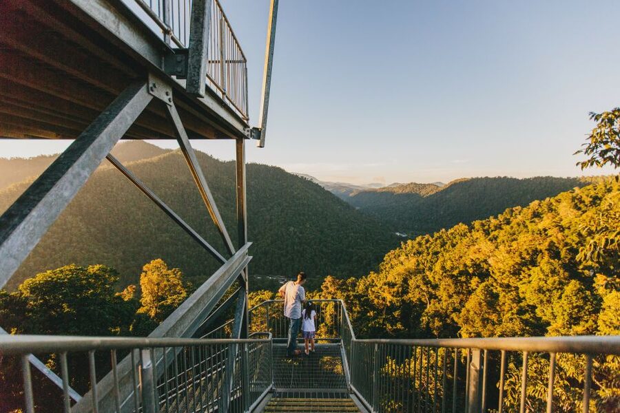 Wooroonooran National Park: Mamu Tropical Skywalk Admission - Cantilever to the canopy: your first drop-away view
