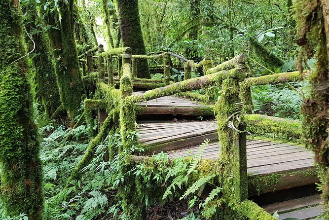Wow! Doi Inthanon National Park Adventure, Lunch & Entry Included - Entering Doi Inthanon: Why This Day Trip Feels Worth It