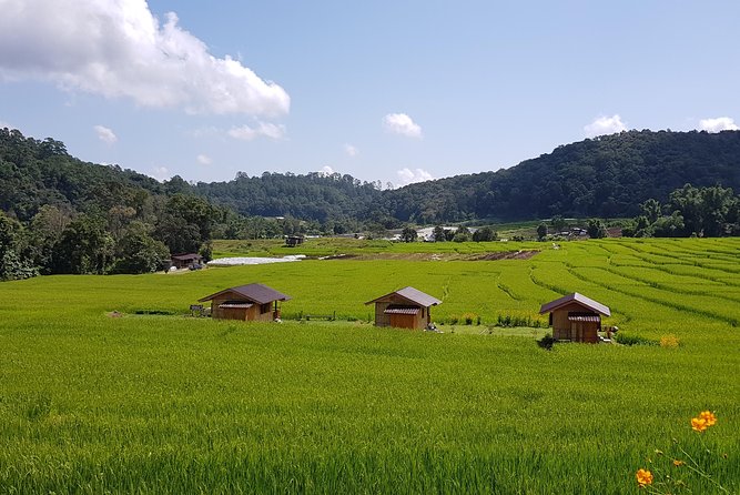 Wow! Doi Inthanon National Park Adventure, Lunch & Entry Included - The Highest Spot: Reaching Doi Inthanon’s Summit Marker the Easy Way