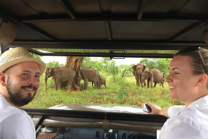 Yala and Udawalawa Safari Tour From Hambantota port - When Yala shifts to Udawalawe: how the backup helps your day