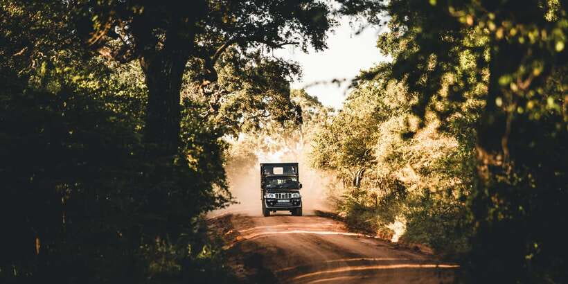 Yala: Morning or Afternoon All-inclusive Private Safari - What the Afternoon Game Drive Feels Like in the Jeep