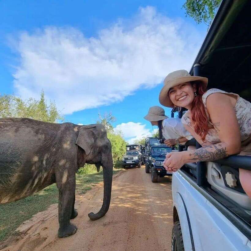 Yala National Park: All Inclusive Private Safari Day Trip - Key highlights to know before you book