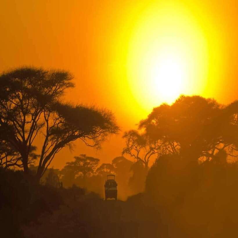Yala National Park: All Inclusive Private Safari Day Trip - Who this Yala private safari fits, and who should skip it