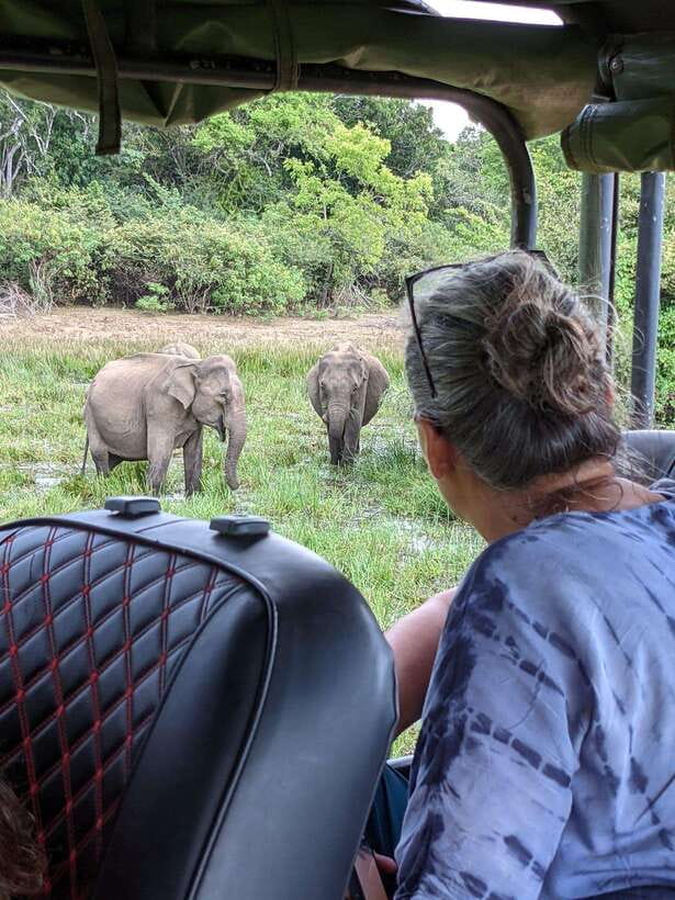 Yala National Park: Half Day or Full Day Leopard Safari Tour - Key highlights worth planning for