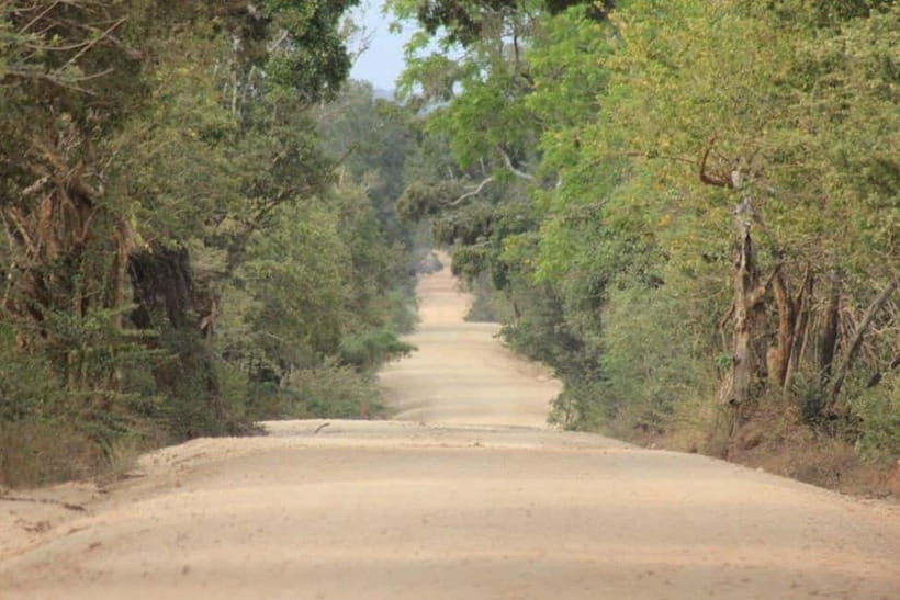 YALA National Park - HALF DAY or FULL DAY TOUR - Comfort, rules, and who this jeep safari suits best