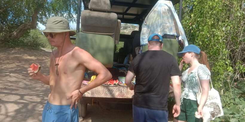 Yala National Park Half Day Safari - Key things that make this safari work