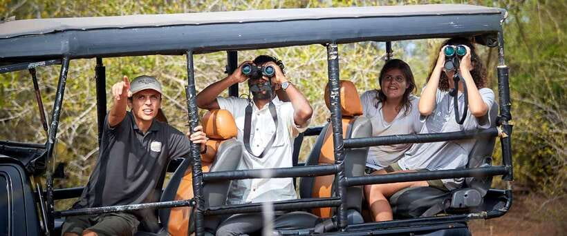 Yala National Park Jeep Safari: Leopards, Elephants & Wild - Why Yala Jeep Safaris Are Built for Leopards and Elephants