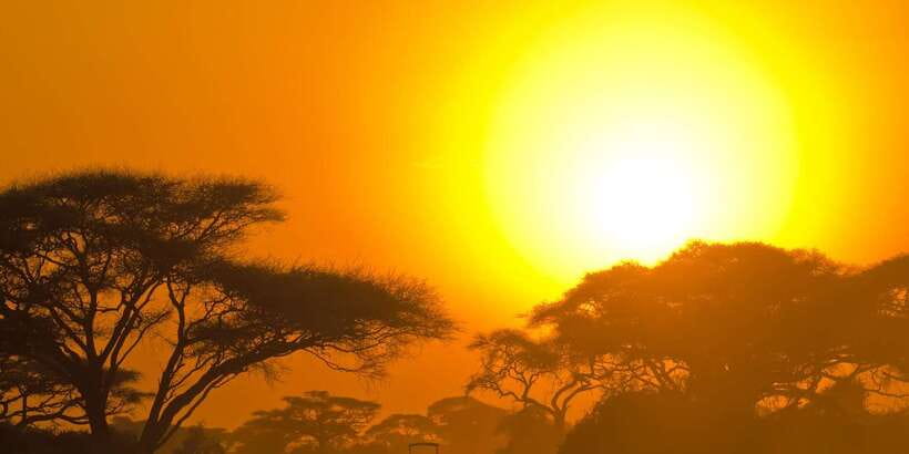 Yala National Park: Leopard Safari Full day tour with Lunch - Entering Yala: why the 5:00 AM start matters