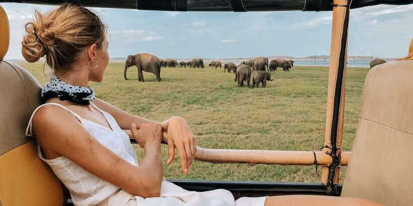 Yala National Park: Leopard Safari Full day tour with Lunch - Pickup zones and what “full-day” really means
