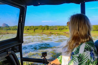 Yala National Park Leopard Safari - HALF DAY/FULL DAY TOUR - Timing and the 6 AM gate: the strategy behind leopard odds