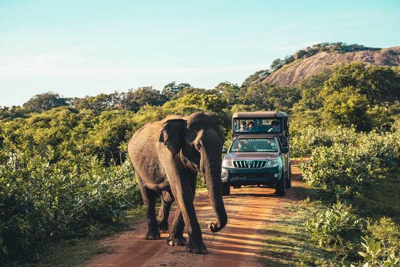 Yala National Park: Leopard Safari Half/Full-Day Safari - Entrance Fees and Food: The Practical Money Math