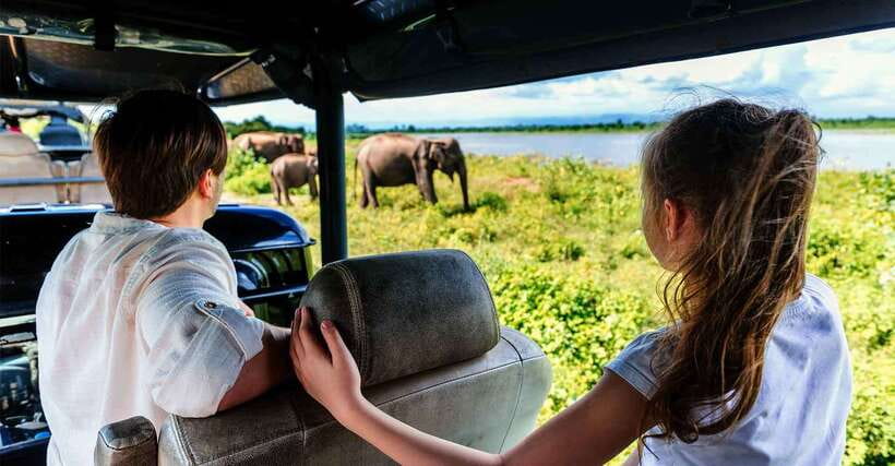 Yala National Park: Leopard Safari Tour with Park Tickets - Why Yala’s dawn and dusk jeeps are worth the early start