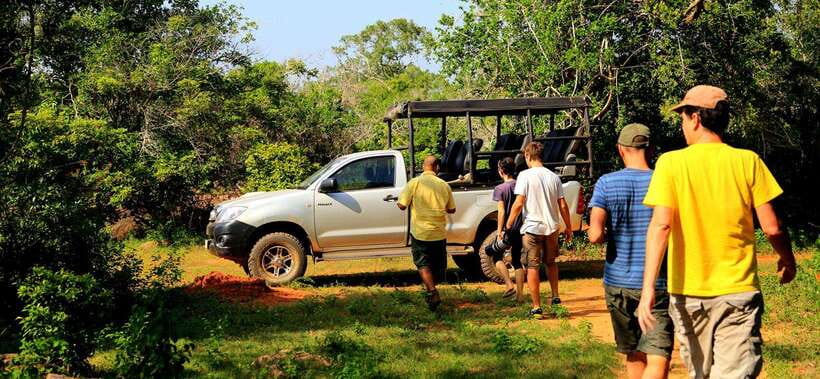 Yala National Park: Leopard Safari Tour with Park Tickets - What’s included (and what you should plan around)