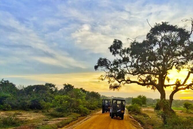 Yala National Park Private Jeep Safari From Colombo & Negombo - Key highlights worth your attention