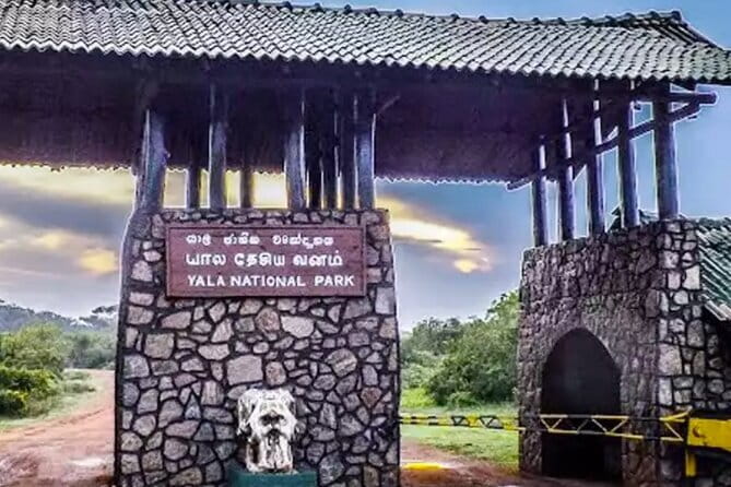 Yala National Park Private Jeep Safari From Colombo & Negombo - Price and what $250 per person really covers