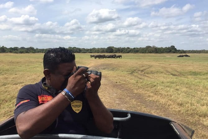 Yala National Park Private Jeep Safari From Colombo & Negombo - Safety and vehicle condition: what to check before you commit