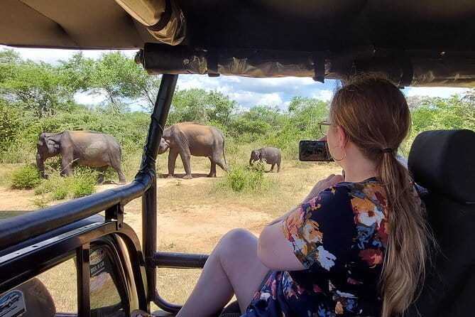 Yala National Park Private Jeep Safari From Colombo & Negombo - Who this Yala private jeep safari suits best