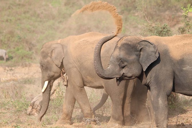 Yala National Park Private Safari (All Inclusive) From Mirissa - Key Highlights at a Glance
