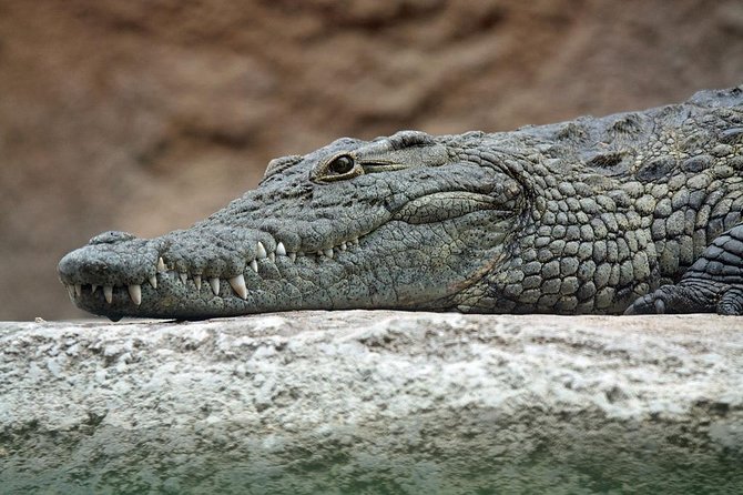 Yala National Park Private Safari (All Inclusive) From Mirissa - A 4am Start That Actually Makes Sense for Yala