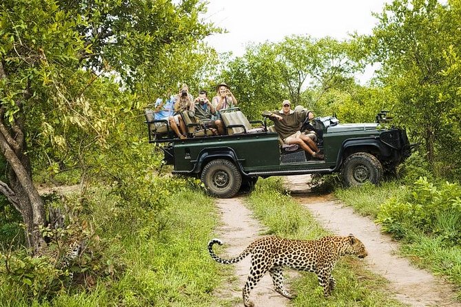 Yala National Park Private Safari (All Inclusive) From Mirissa - Lunch Not Included: How to Handle the Midday Gap