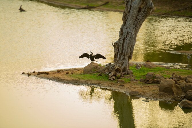 Yala National Park Private Safari Tour - The day timeline: how 12 hours turns into safari time