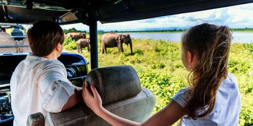 Yala National Park: Safari Experience at Dawn or Dusk - Key Points to Know Before You Go
