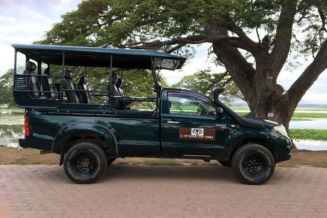 Yala National Park Safari - Half day and Full day - Stops Like Tissamaharama and Kataragama: Why Route Time Still Matters