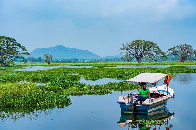 Yala National Park Safari - Half day and Full day - Practical Tips to Improve Your Odds (Without Chasing Luck)