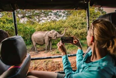 YALA National Park Safari Tour : Half day or Full day Tour - Half-Day vs Full-Day: How to Choose Without Regrets