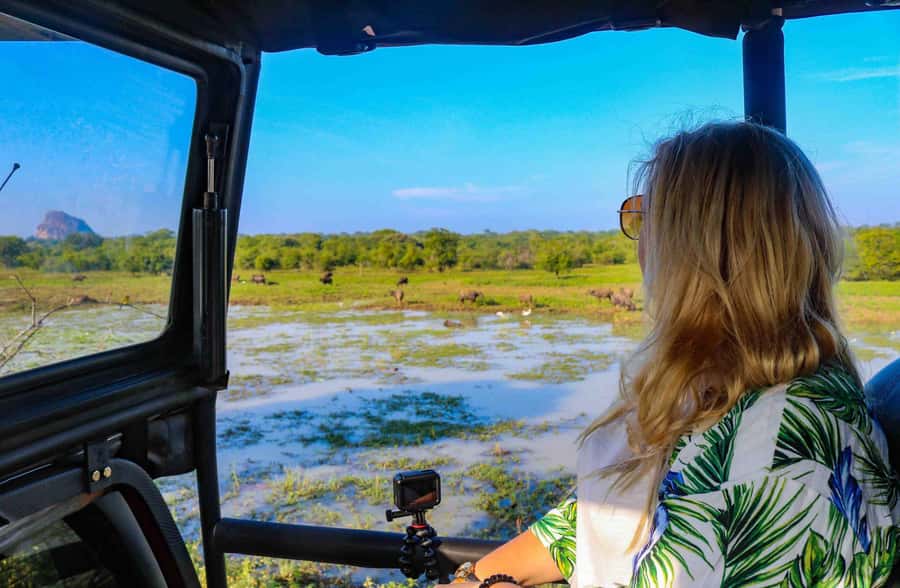 YALA National Park Safari Tour : Half day or Full day Tour - Main Entrance Stop: The 30 Minutes You’ll Actually Use