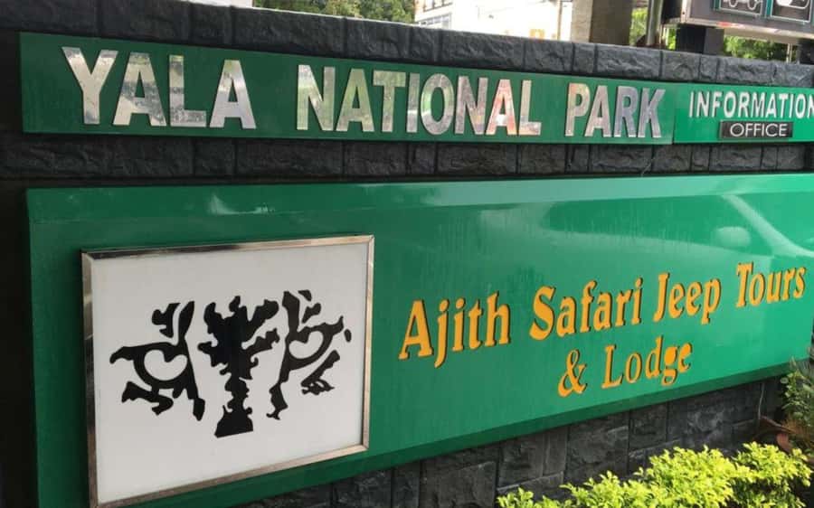 YALA National Park Safari Tour : Half day or Full day Tour - Game Drives in Yala: How the Time Blocks Turn Into Sightings