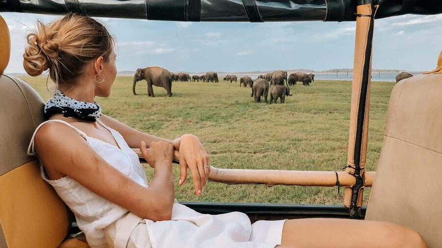 Yala National Park - Safari Tour with Hotel / Accommodation - The Safari Format: Open-Top 4×4 With a Real Tracker