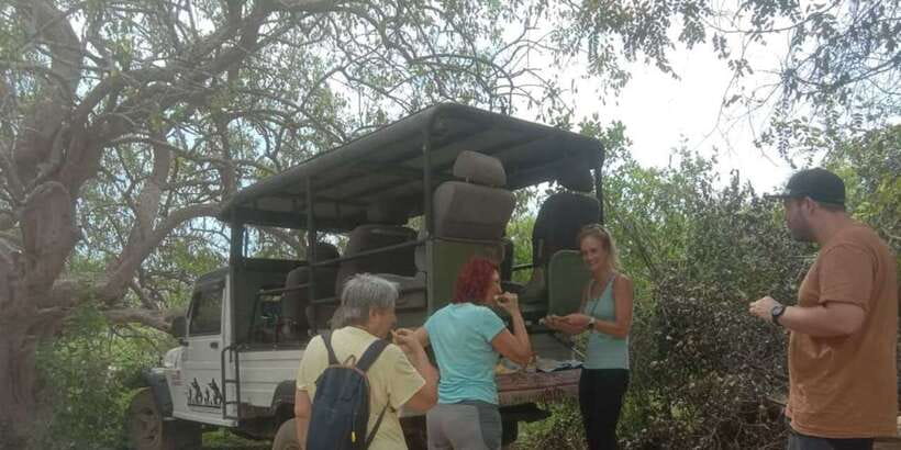 Yala National Park Sharing Safari (5 Hours) - Key things I’d circle on your plan