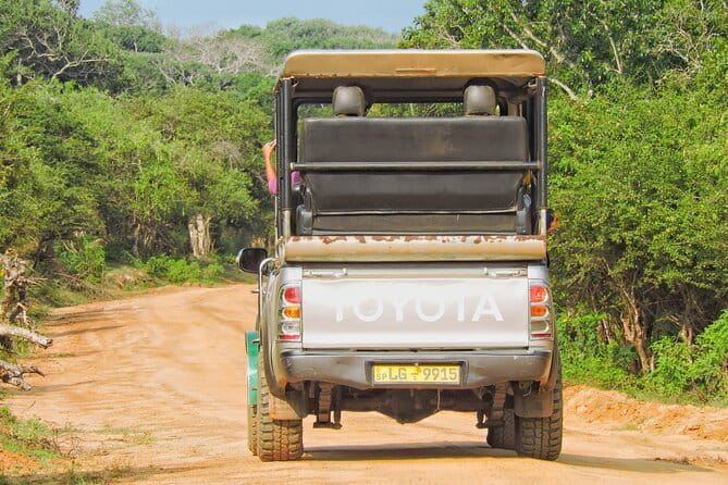 Yala National Park special Half-Day & Full-Day Safari Adventure - Food and what the tour includes for a long day