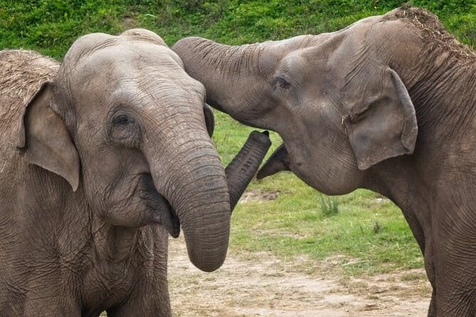 Yala National Park Tour From Hambantota Port - Price and Value: $47 Doesn’t Include Park Entry
