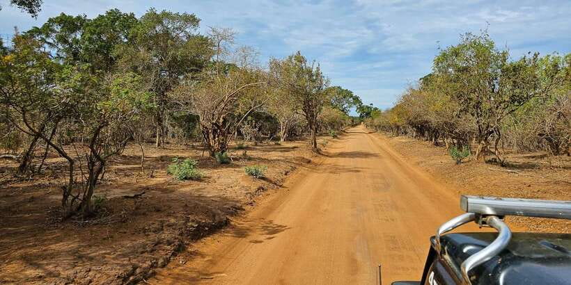 Yala National Park Wildlife safari from Mirissa - Key highlights you’ll care about
