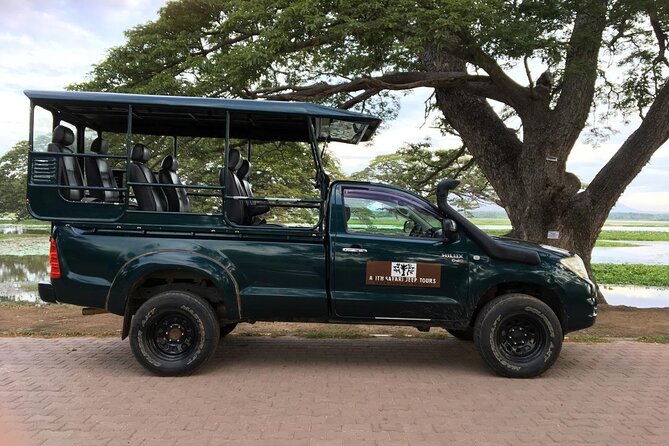 Yala National Park Wildlife Safari/ Game Drive - by Ajith Safari - Key Things to Know Before You Go
