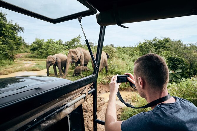 Yala National Park Wildlife Safari/ Game Drive - by Ajith Safari - Yala Golden Hours: Why Timing Matters in a Leopard Park