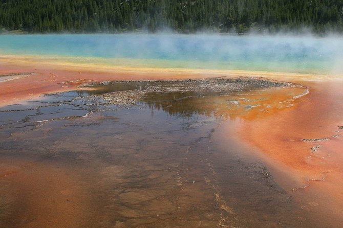 Yellowstone National Park - Full-Day Lower Loop Tour from Jackson - Comfort and Logistics: What to Expect in the Van