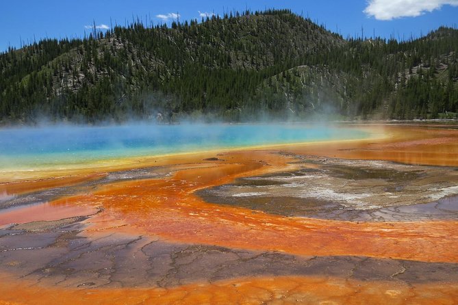 Yellowstone National Park - Full-Day Lower Loop Tour from West Yellowstone - Grand Canyon of Yellowstone: Artist Point for Falls and Color