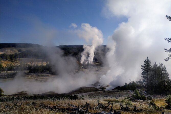Yellowstone National Park - Lower Loop Adventure - Lunch, Snacks, and the Comfort of Air-Conditioned Transport