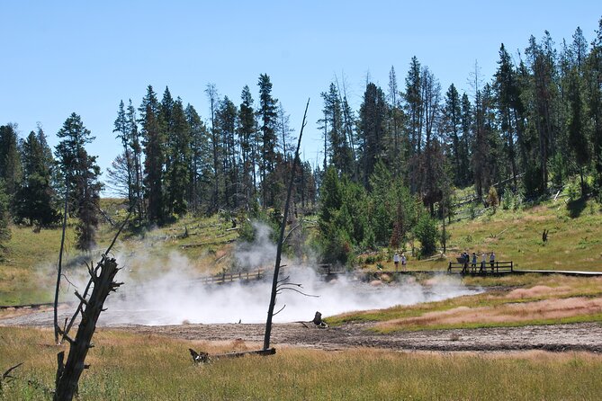 Yellowstone National Park - Lower Loop Adventure - Booking Notes That Matter on the Ground