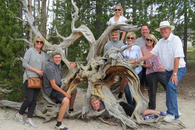 Yellowstone National Park - PRIVATE Full-Day Lower Loop Tour from W. Yellowstone - A Lower Loop Day Makes Yellowstone Feel Understandable