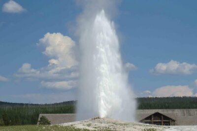 Yellowstone National Park - PRIVATE Full-Day Lower Loop Tour from W. Yellowstone - Hotel Pickup and Private Transport: The Stress Killer