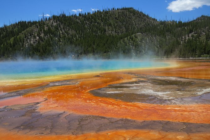 Yellowstone National Park - PRIVATE Full-Day Lower Loop Tour from W. Yellowstone - Hayden Valley Wildlife Time (Season Matters)
