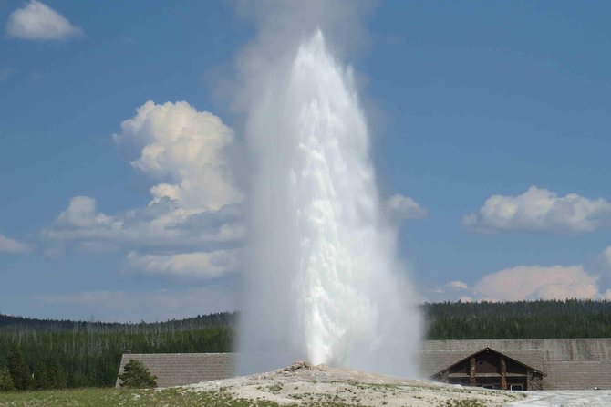 Yellowstone National Park - PRIVATE Full-Day Lower Loop Tour from W. Yellowstone - Hotel Pickup and Private Transport: The Stress Killer