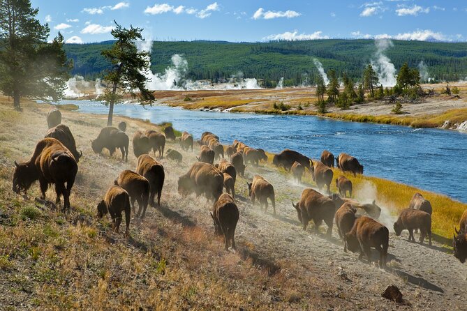 Yellowstone National Park Self-Guided Driving Audio Tour - North loop icons: Roosevelt Arch, Albright, and the waterfall trailheads