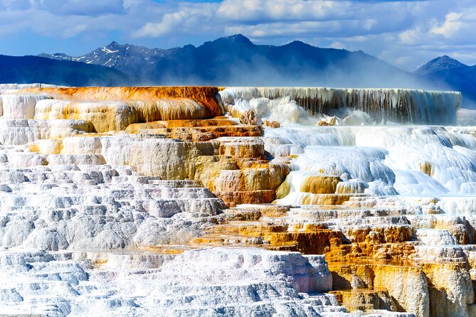 Yellowstone National Park Self-Guided Driving Audio Tour - Lamar Valley and Dunraven Pass: wildlife odds and the high-view reward
