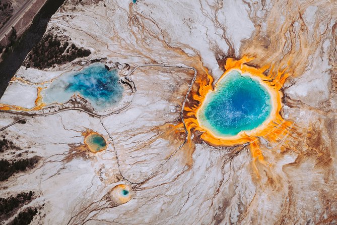 Yellowstone National Park Tour from Jackson Hole - Hayden Valley Wildlife Time: Bison Territory, Possible Wolf Moment